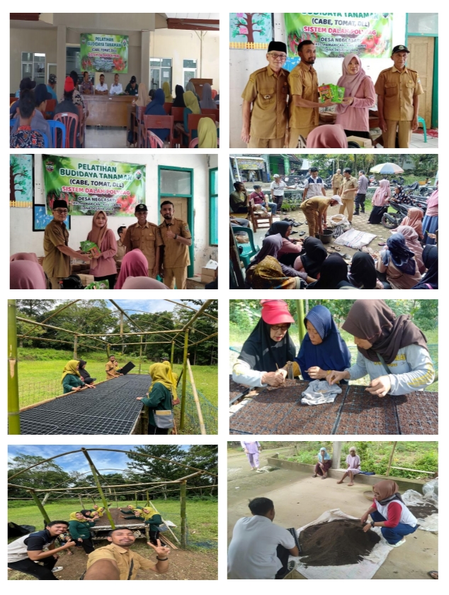 TANAMAN DALAM POLYBAG